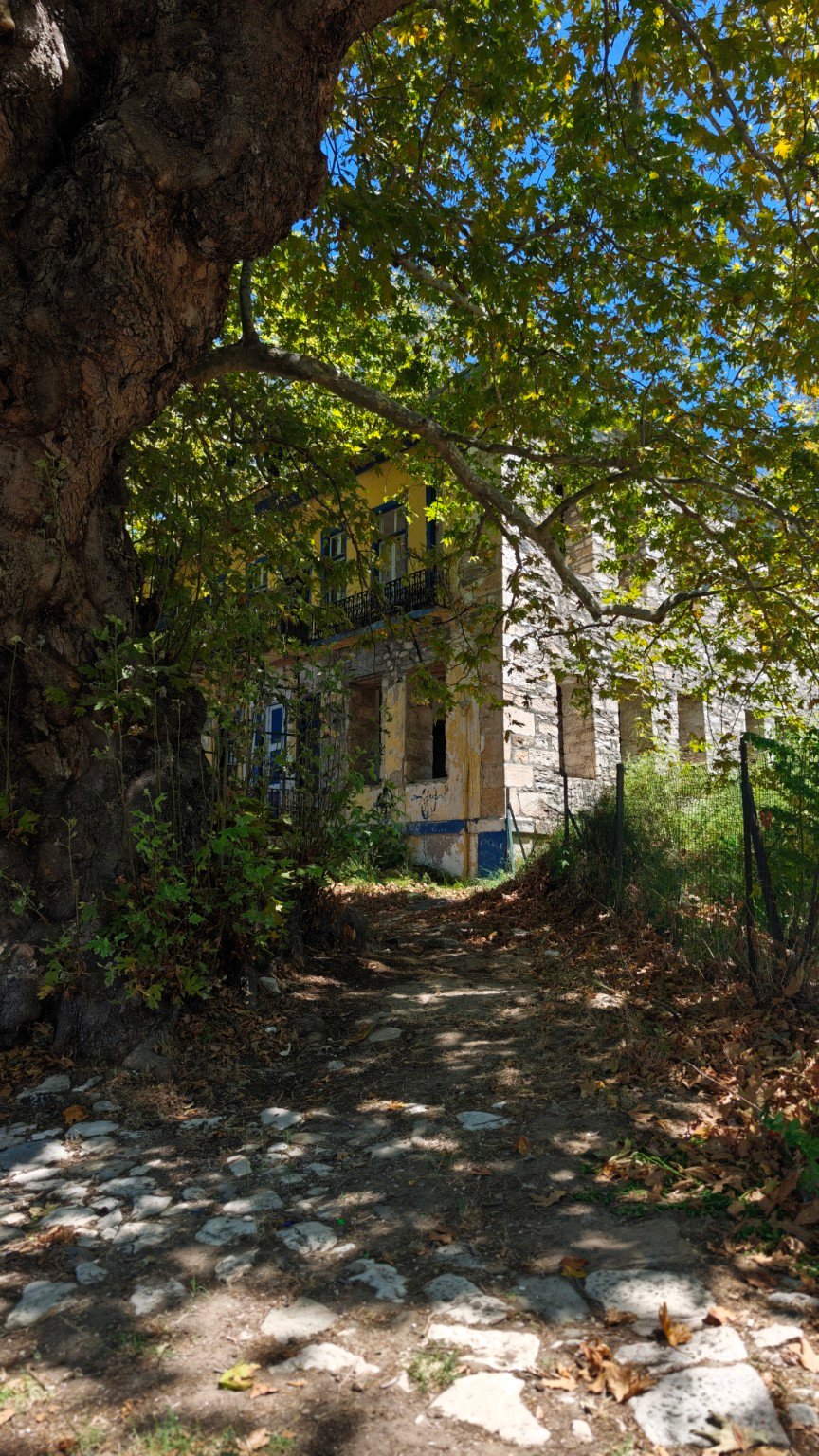 Stone building and shaded path beneath a plane tree in the centre of Thassos town